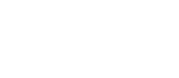 Champion Life Seniors Logo